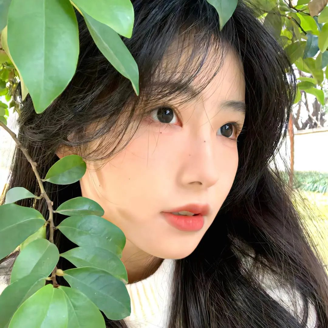 纳尤古传奇
